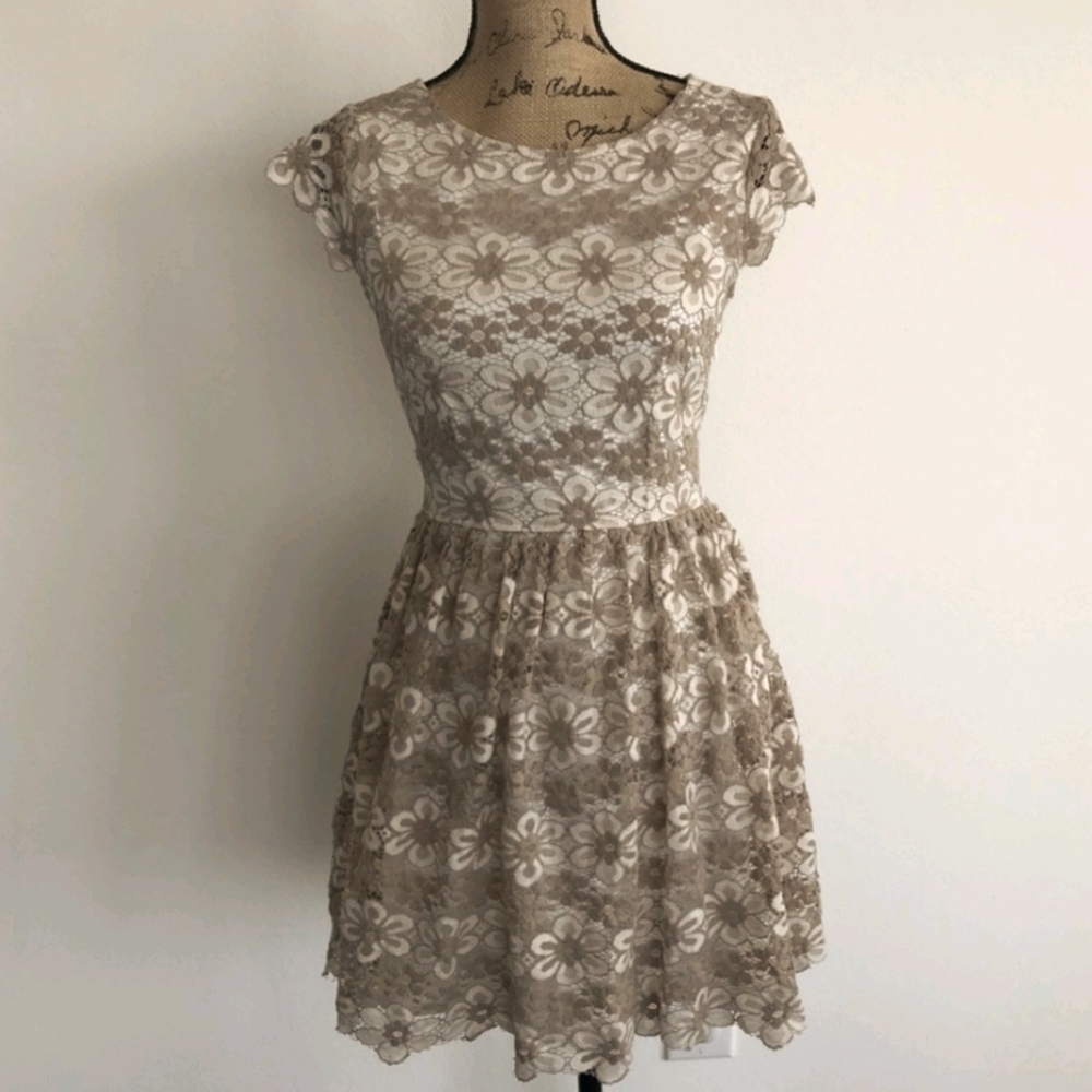 NWT American Rag Cie Daisy Fit and Flare Dress